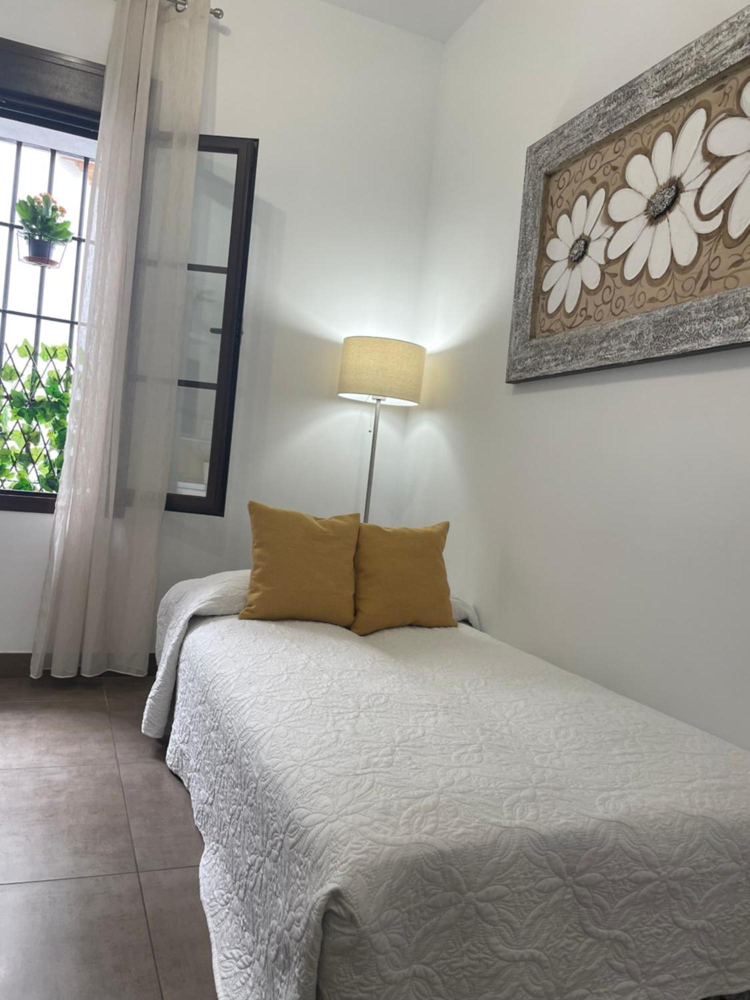 Apartamento El Museo إيثيخا المظهر الخارجي الصورة